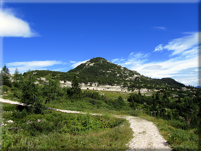 foto Percorso ad anello Caldiera,Ortigara,Lozze